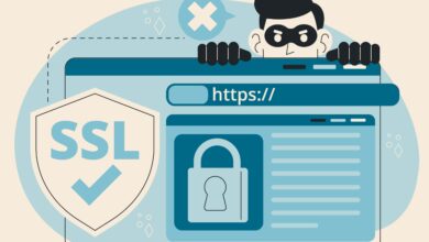 HTTP and HTTPS Protocols